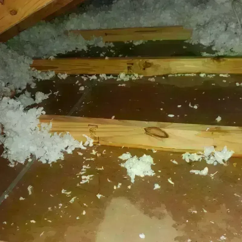 Attic Water Damage in Newberry, SC