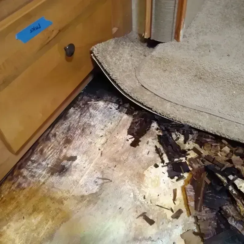 Wood Floor Water Damage in Newberry, SC